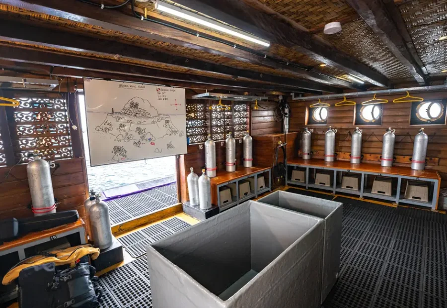 Best Banda Sea Liveaboard for Non-Divers & Snorkelers in 2027