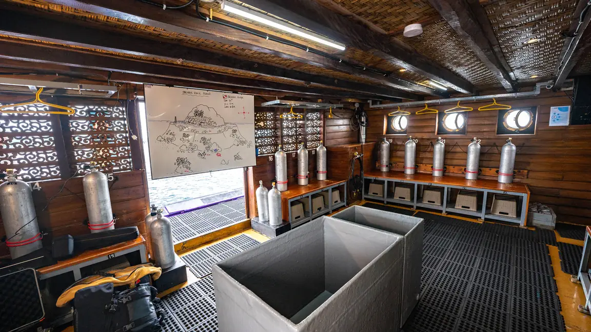 Best Banda Sea Liveaboard for Non-Divers & Snorkelers in 2027