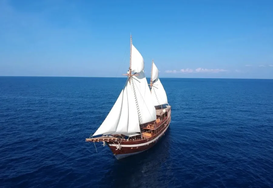 Best Banda Sea Liveaboard for Solo Travelers 2027: Finding Your Perfect Dive Trip