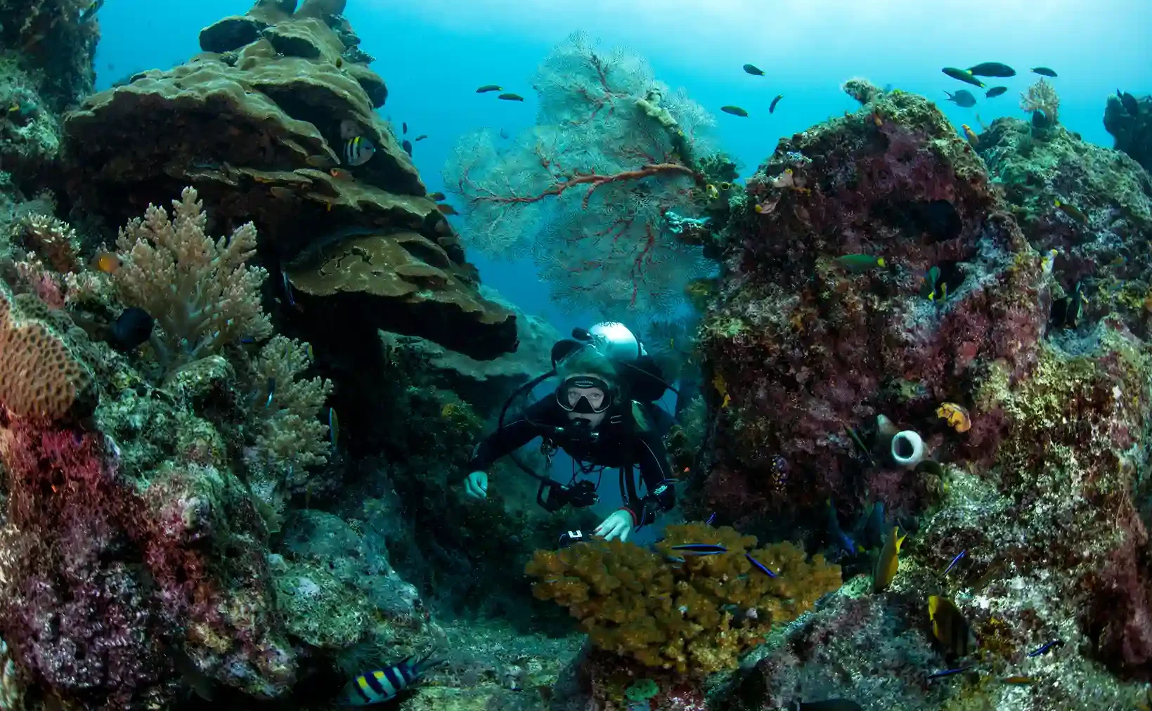 Bali, Komodo or Raja Ampat? Matching Your Charter Route to the Season