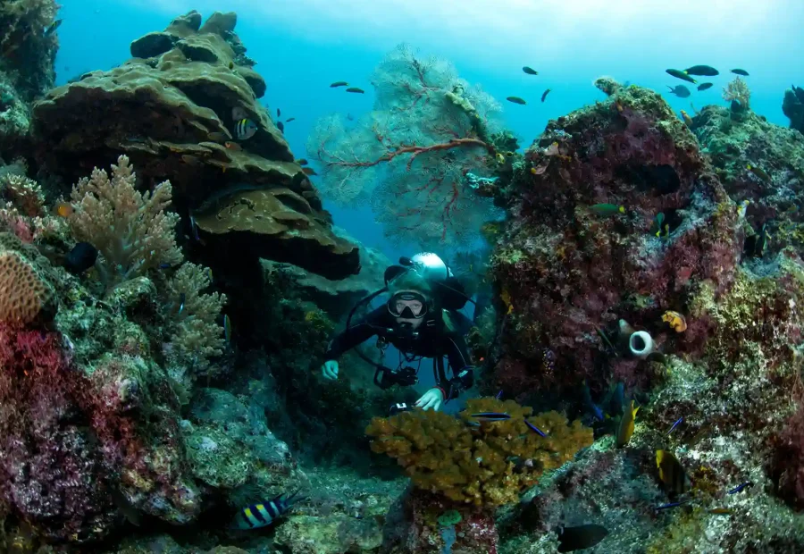Bali, Komodo or Raja Ampat? Matching Your Charter Route to the Season