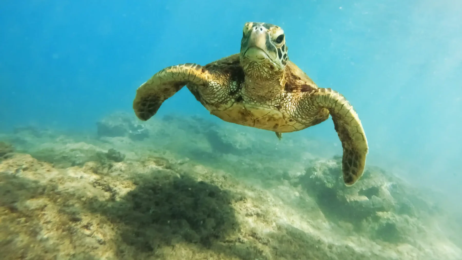 Luxury Yacht Charters in Bali and Raja Ampat: Late-2027 Trends and Outlook