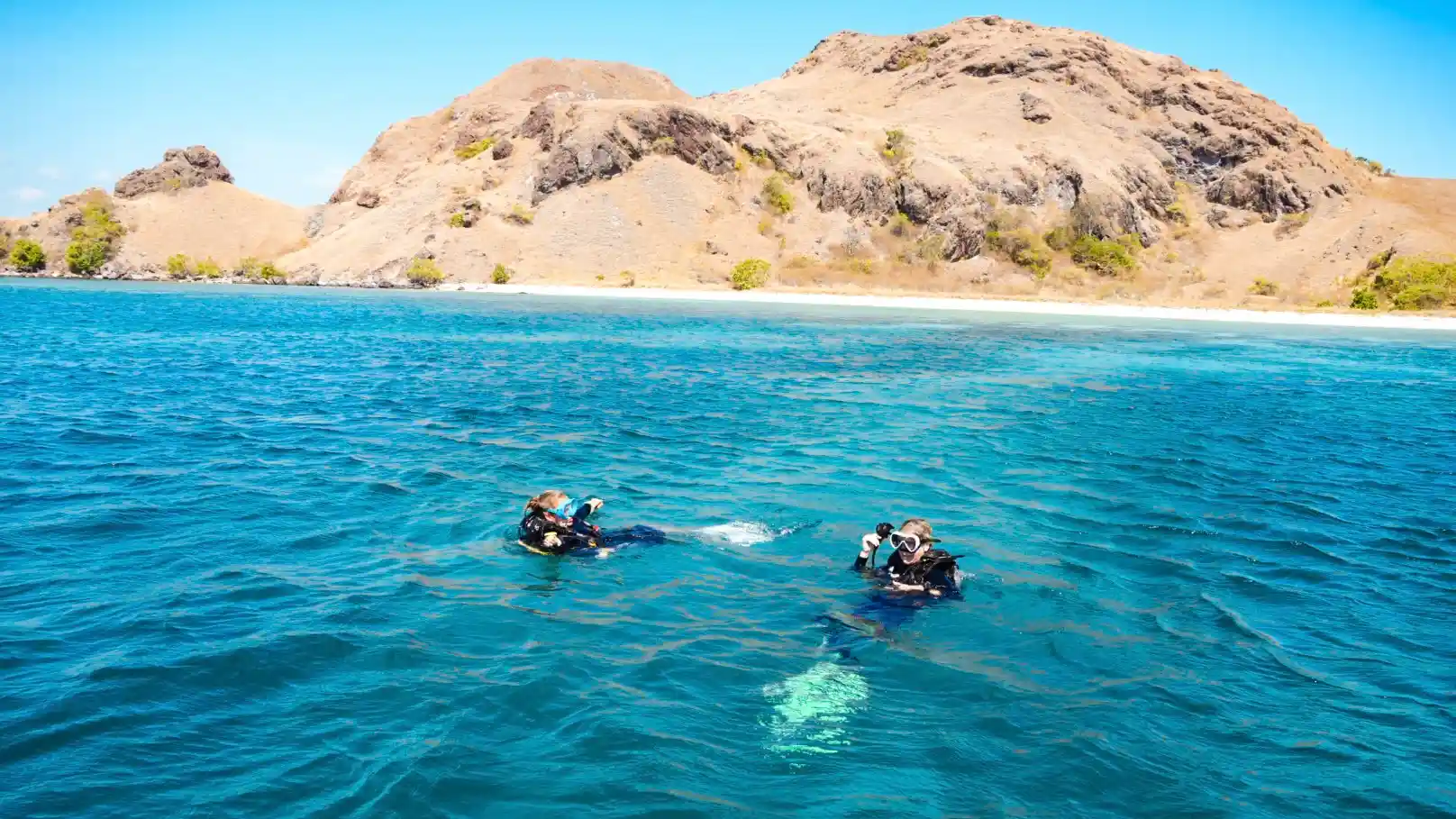 A diver along a coral wall