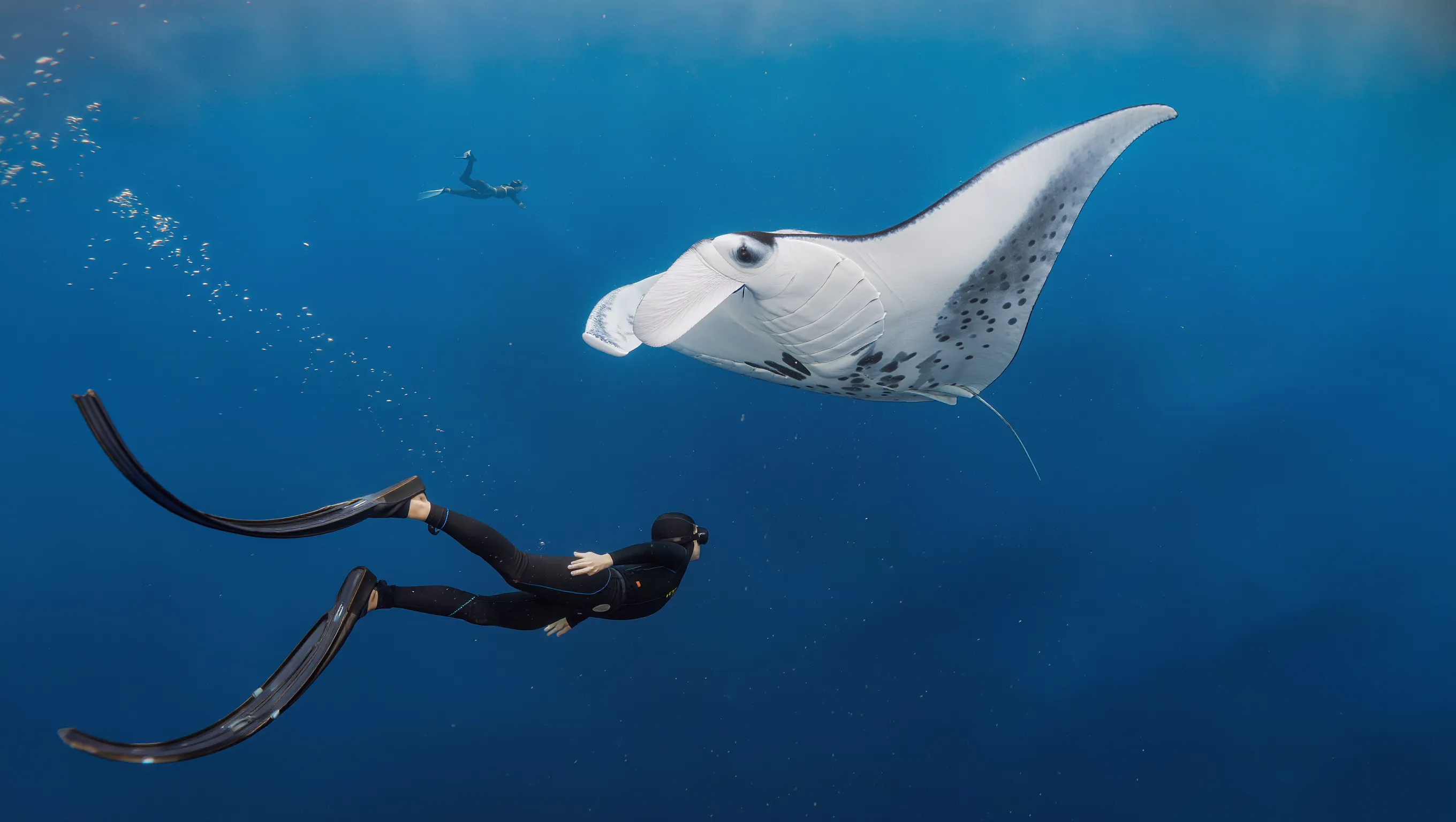A freediver in clear water over a reef