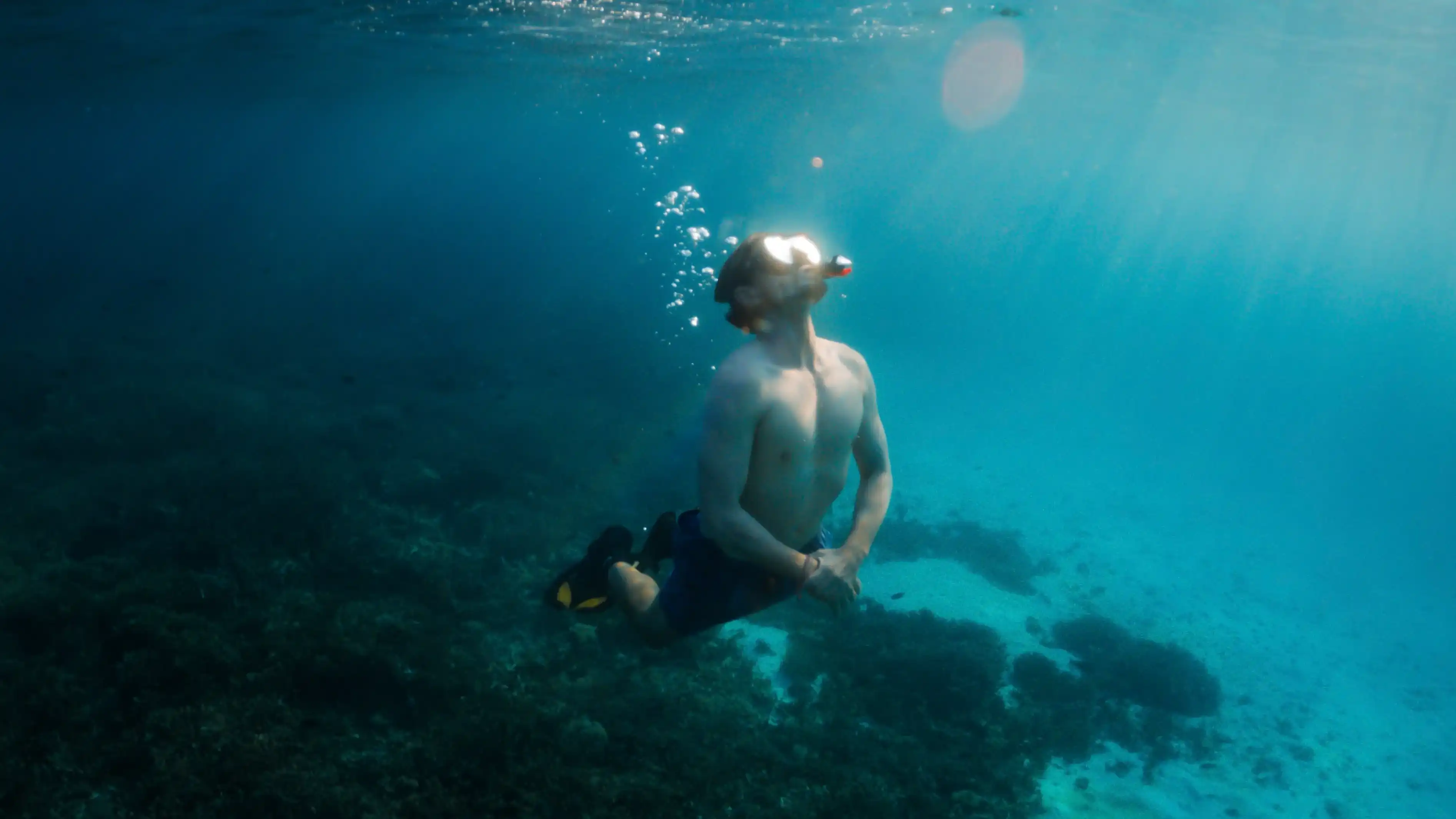 A coral garden in clear water